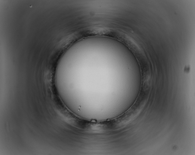 X0000101150268200807071157