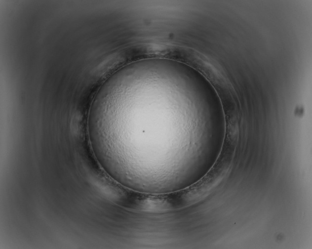 X0000101150270200807071157