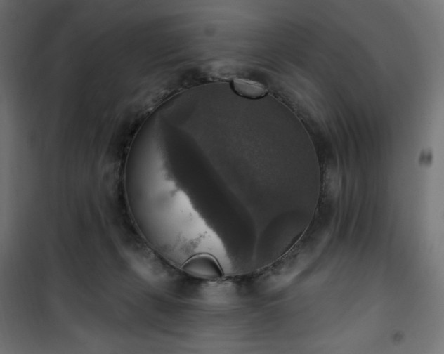 X0000101150271200807071157