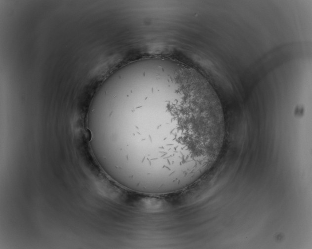 X0000101150272200807071157