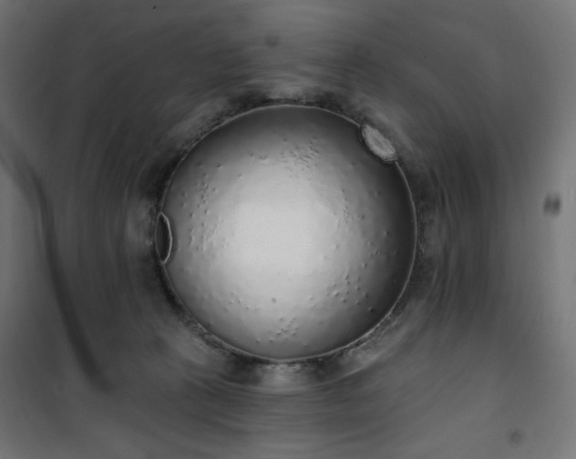 X0000101150273200807071157