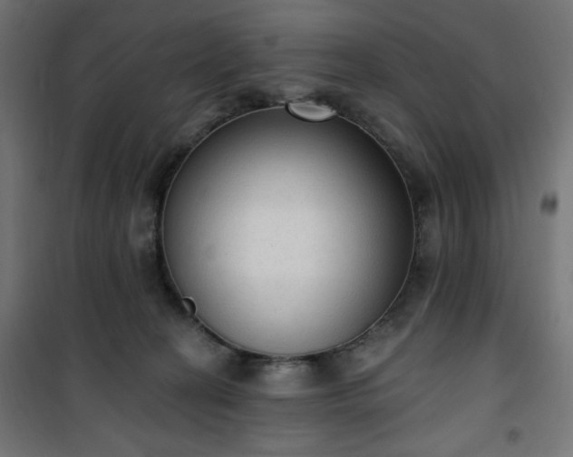 X0000101150274200807071157