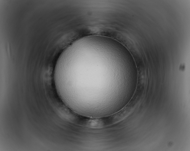 X0000101150275200807071157