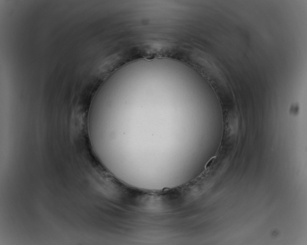 X0000101150276200807071157