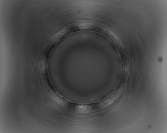 X0000101150277200807071157