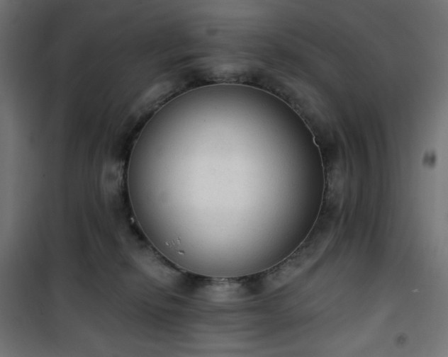 X0000101150278200807071157