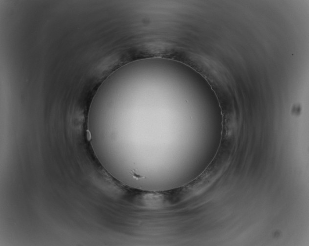 X0000101150279200807071157