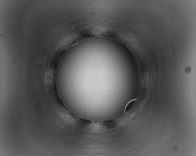 X0000101150280200807071157