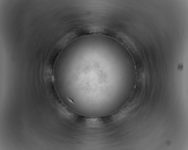 X0000101150281200807071157