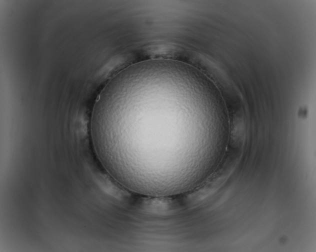 X0000101150282200807071157