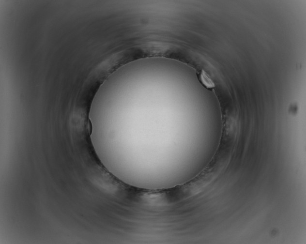 X0000101150283200807071157