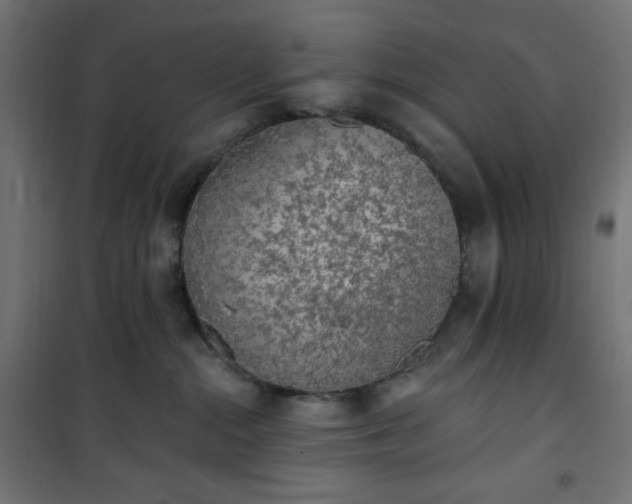 X0000101150284200807071157