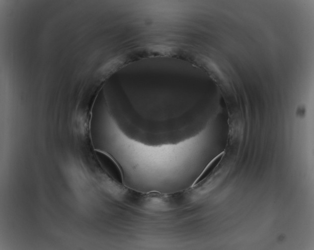 X0000101150285200807071157