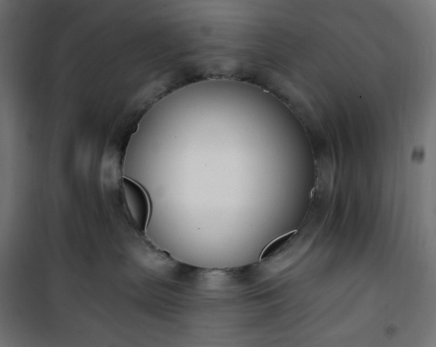 X0000101150287200807071157