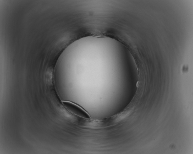 X0000101150288200807071157