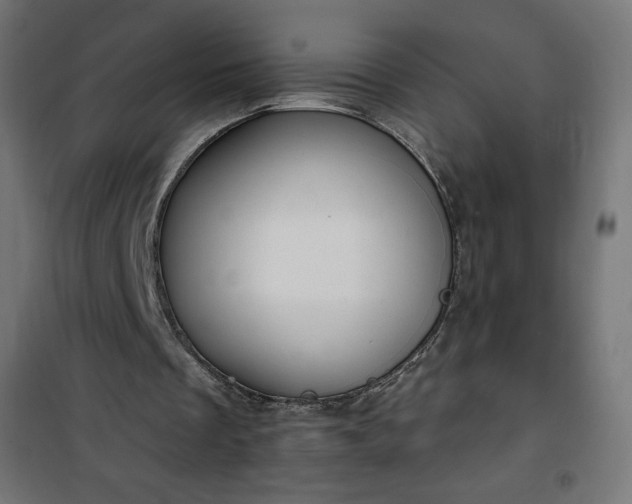 X0000101150289200807071156