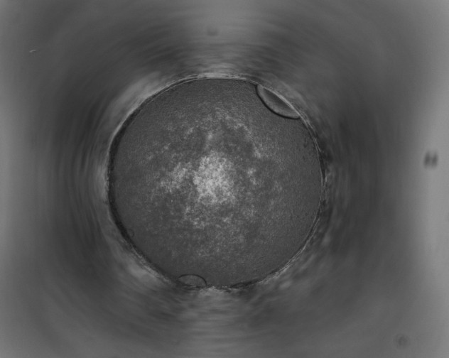 X0000101150290200807071156