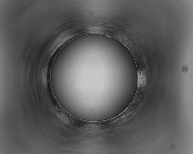 X0000101150291200807071156