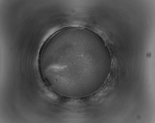 X0000101150292200807071156