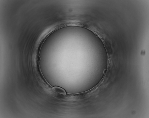 X0000101150293200807071156