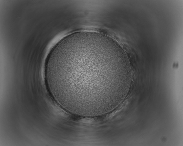 X0000101150294200807071156