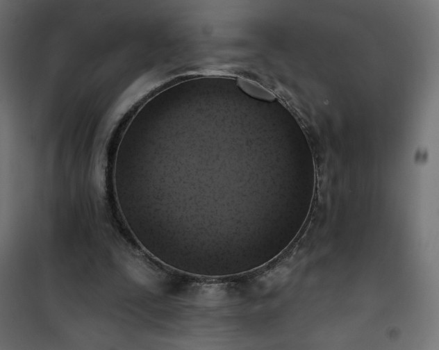 X0000101150295200807071156