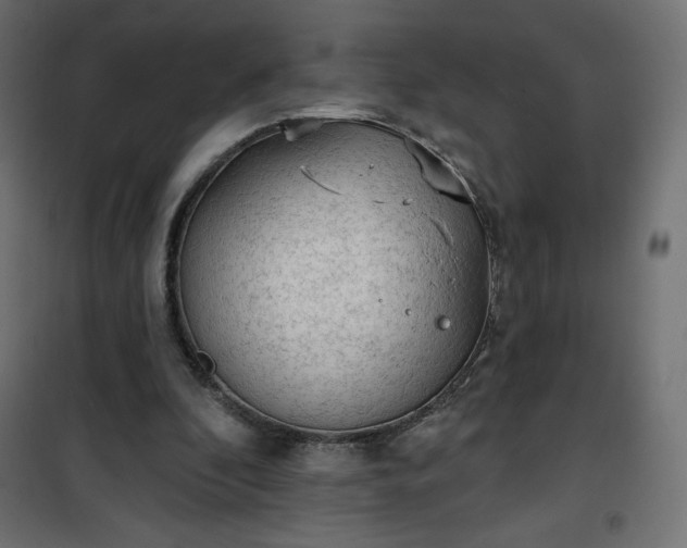 X0000101150296200807071156