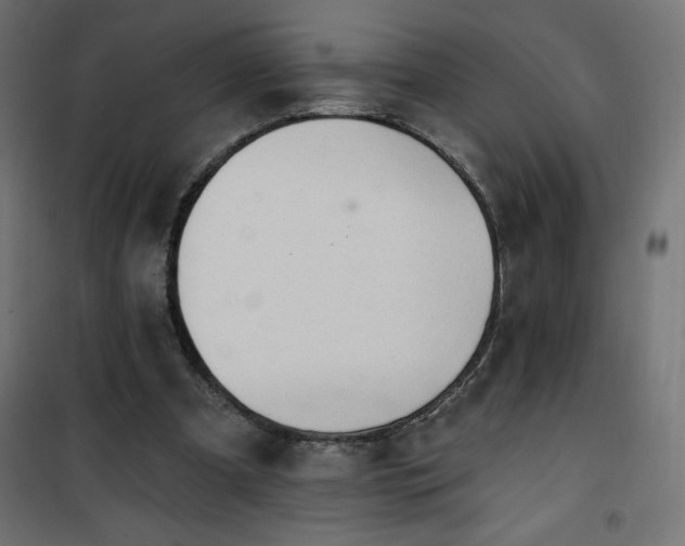 X0000101150297200807071156