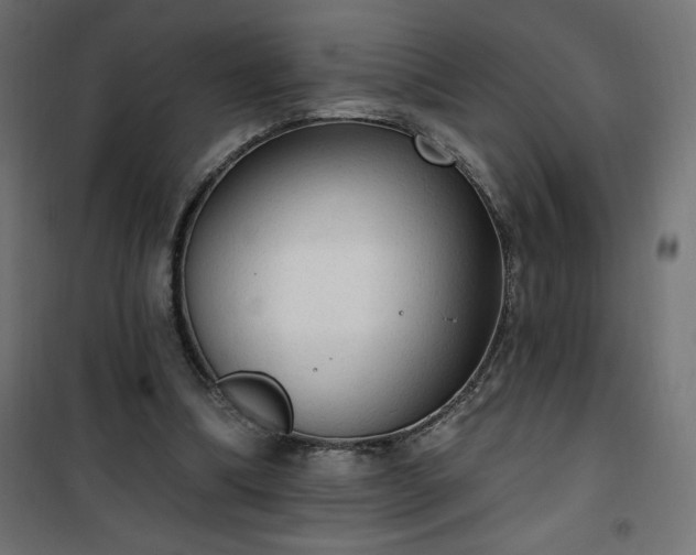 X0000101150298200807071156