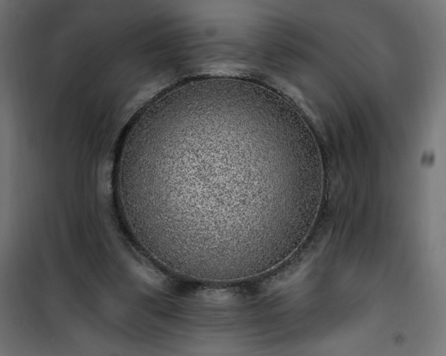 X0000101150299200807071156