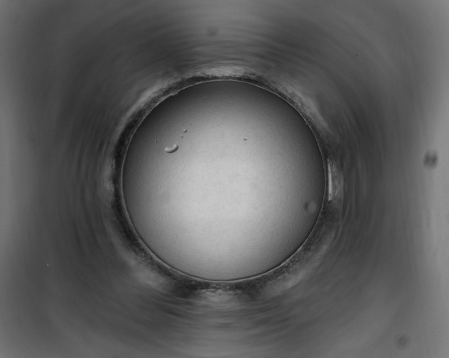 X0000101150300200807071156