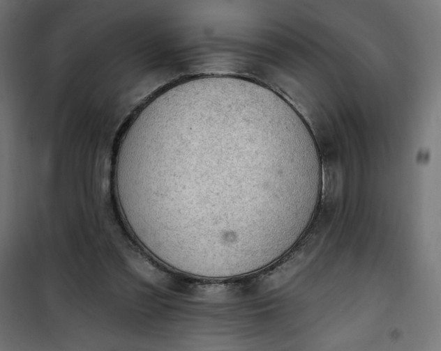 X0000101150301200807071156