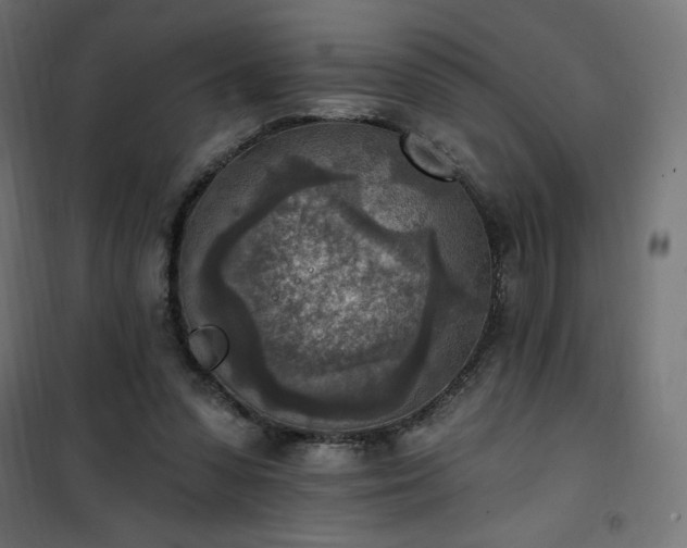 X0000101150303200807071156