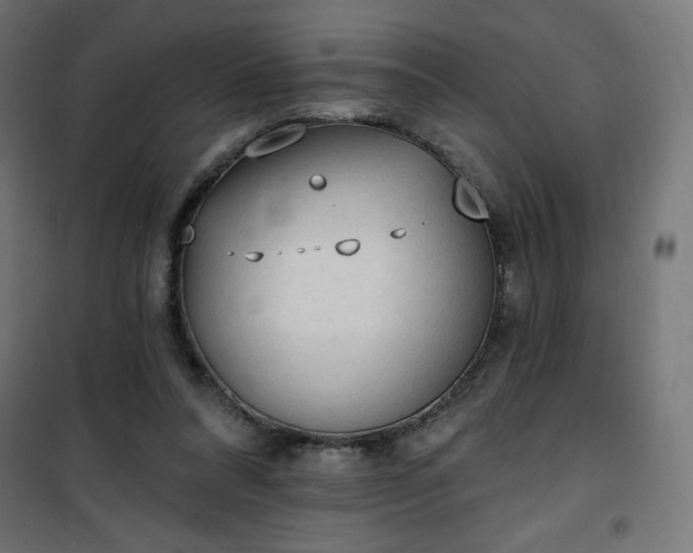 X0000101150304200807071156