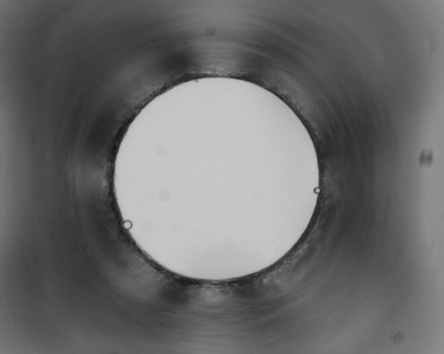 X0000101150305200807071156