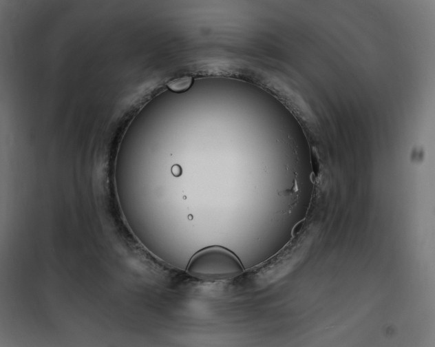 X0000101150306200807071156