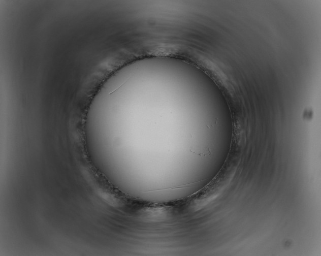 X0000101150307200807071156