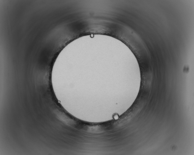 X0000101150309200807071156