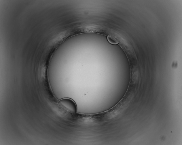 X0000101150310200807071156