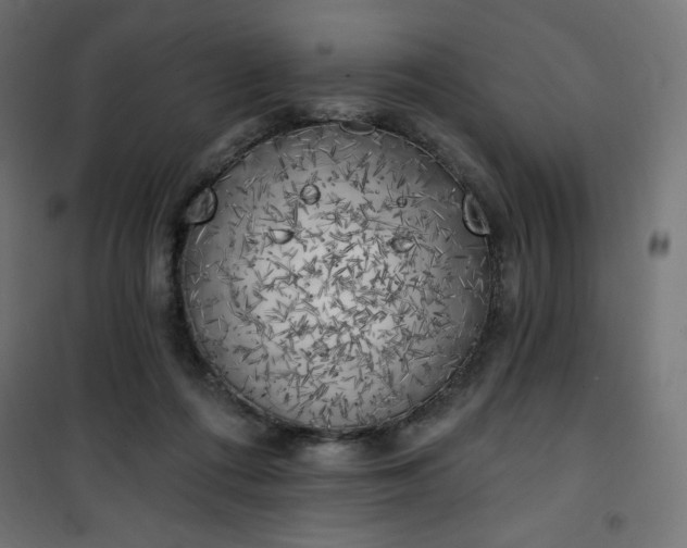 X0000101150312200807071156