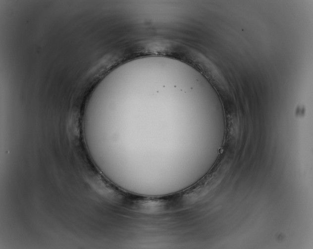 X0000101150313200807071156