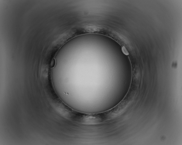 X0000101150315200807071156