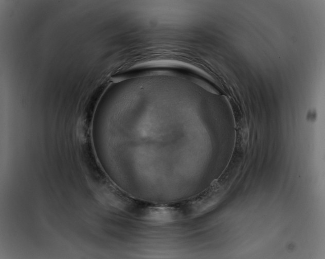 X0000101150316200807071156