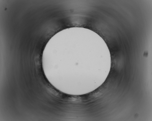 X0000101150317200807071156