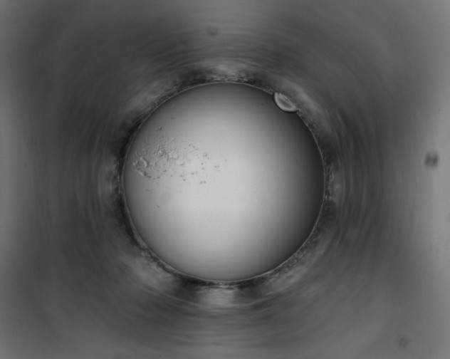 X0000101150318200807071156