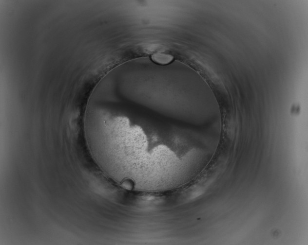 X0000101150319200807071156