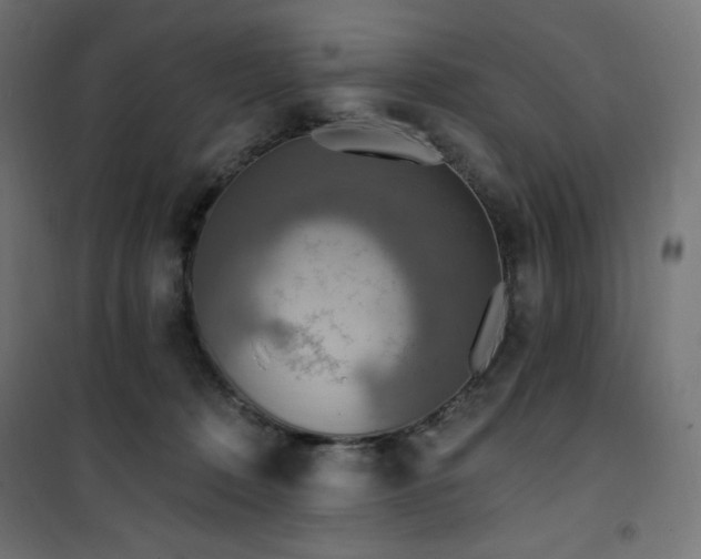 X0000101150320200807071156