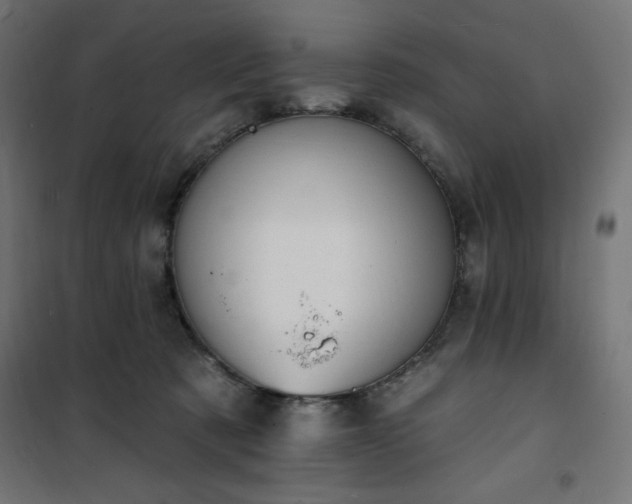 X0000101150321200807071156