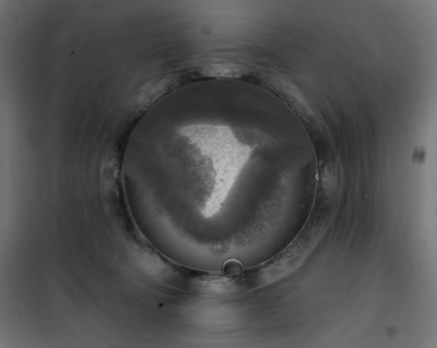 X0000101150322200807071156