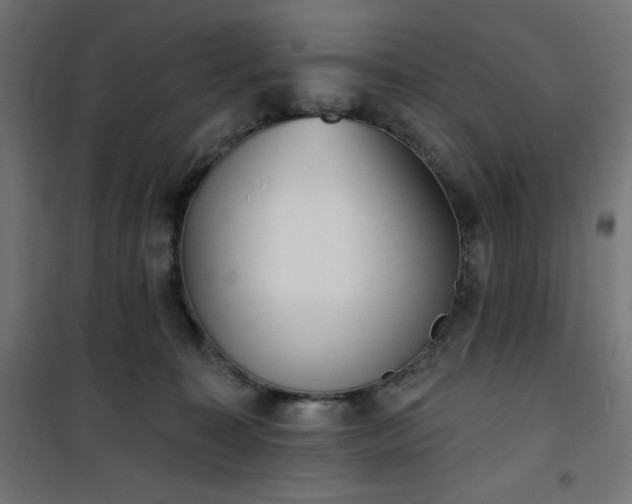 X0000101150323200807071156